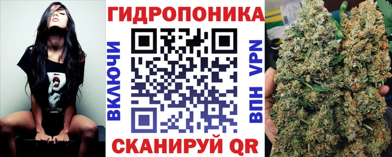 где продают наркотики  Приволжский  Бошки марихуана тримм 